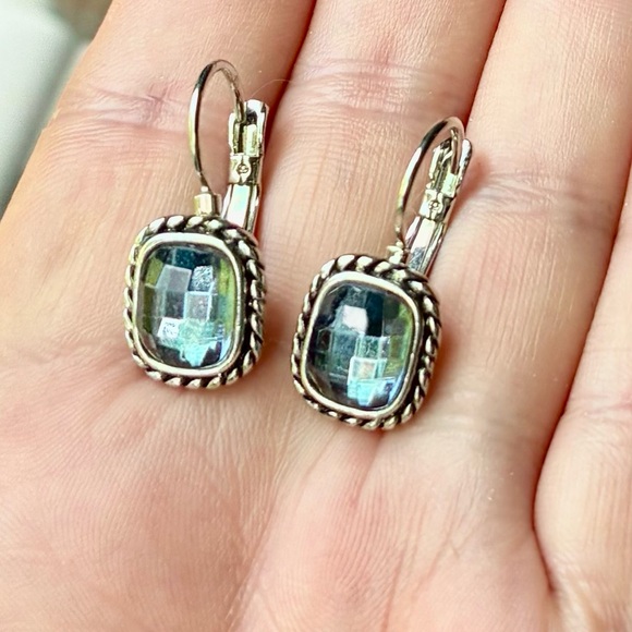 Cookie Lee Jewelry - 🦋 Cookie Lee Silver Tone and Light Blue Faceted Earrings